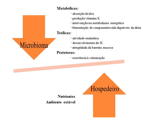 Figura 2: Interações