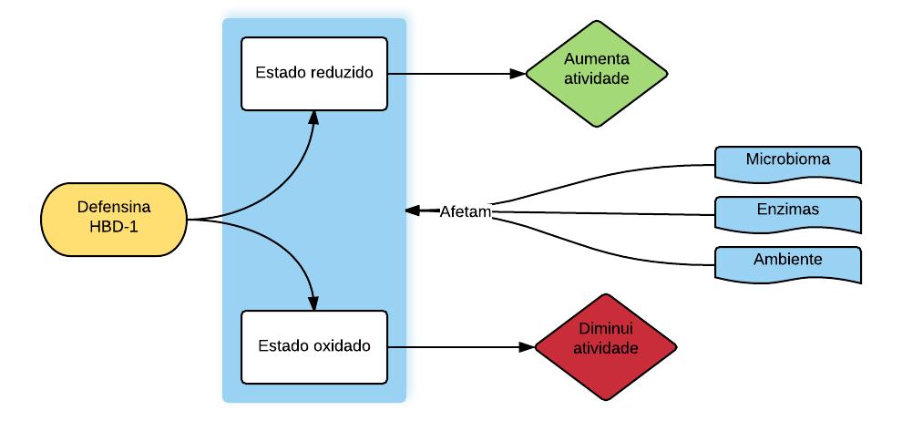 contra os géneros Bifidobacterium e Lactobacillus (17) e a sua atividade aumenta quando está no estado reduzido (12,17).