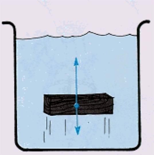Se ele for levado para a superfície : à A intensidade da força de empuxo é maior do que a intensidade da força peso