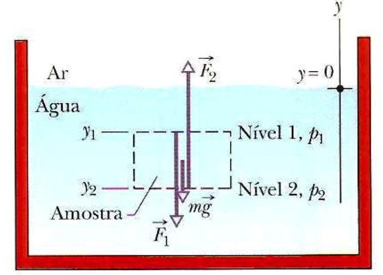 Para calcular a diferença de pressão entre os dois pontos basta imaginar um volume cilíndrico, cuja altura h seja ao longo da vertical à superfície com as bases contendo os pontos 1 e