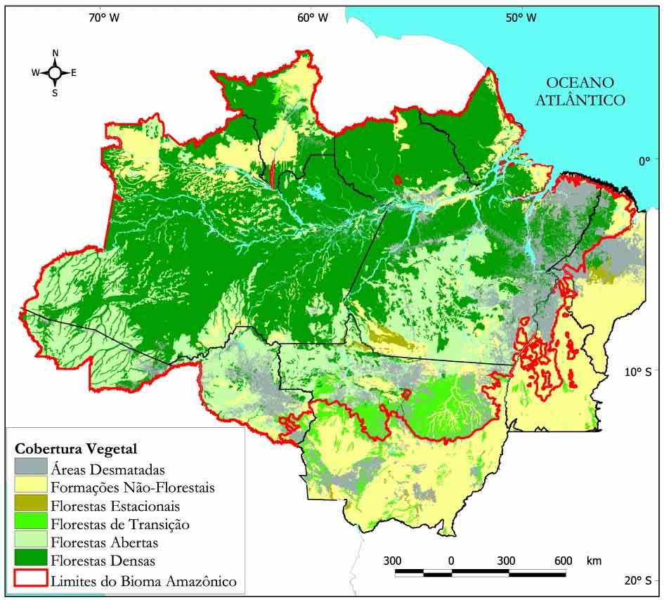 13 região a diversidade é alta, embora menor do que a da floresta Amazônica situada em direção ao centro da Amazônia. As características da estrutura do dossel estão apresentadas na Tabela 1.