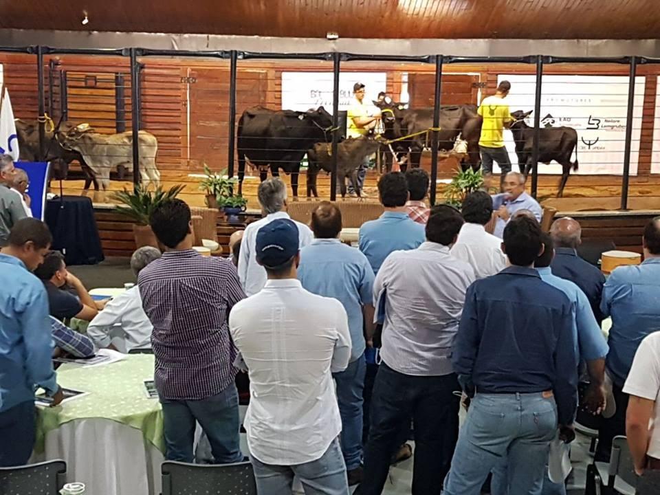 O treinamento realizado durante a ExpoGenética, em Uberaba (MG) atende a um pedido da diretoria da Associação dos Criadores de Guzerá e Guzolando do Brasil (ACGB), impulsionado pelo aumento dos