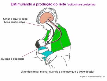 Hormônio Prolactina Prolactina é um hormônio produzido pela glândula