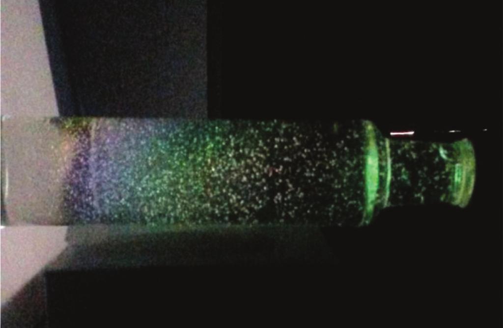 Figura 11: Imagem de garrafa deitada, contendo glicose de milho e iluminada por um monitor de cristal líquido. padrões coloridos não são visualizados.