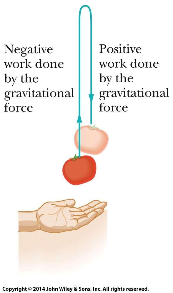 8-1 Energia Ptencial Para um bjet send elevad u baixad: A mudança na energia ptencial gravitacinal é negativ d trabalh realizad Eq.