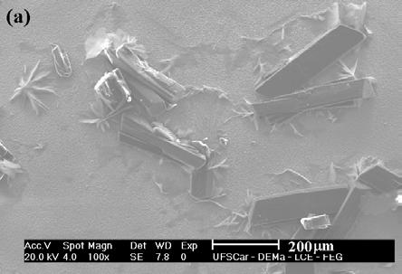 FIGURA 5.42 MEV dos filmes de Pb-Sn, obtidos cronamaperometricamente: (a) de 0,0 V para 0,560 V, com q d = 5 C.cm -2, de 0,0 V para 1,10 V, (b) com q d = C.