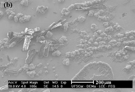 Comparando estas micrografias, pode ser observado que o filme obtido em -0,56 V(Fig. 5.