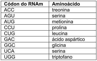 Explique por que, no caso dos eucariotos, nem sempre é possível obter a sequência de um gene a partir do mrna.