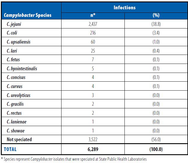 Principais sp de Campylobacter