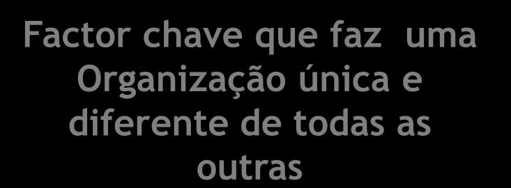 uma Organização única e diferente de todas as outras