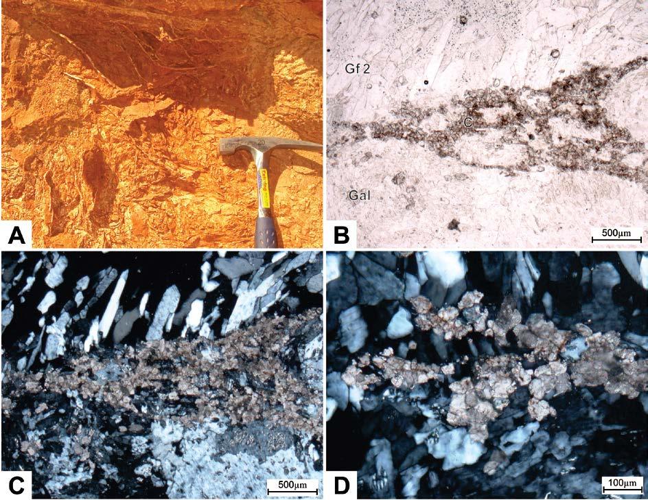 80 Figure 5.8 - Textures of the gypsum-bearing deposits. (A) Satinspar gypsum veins showing a meshwork array in adjacent red mudstone.