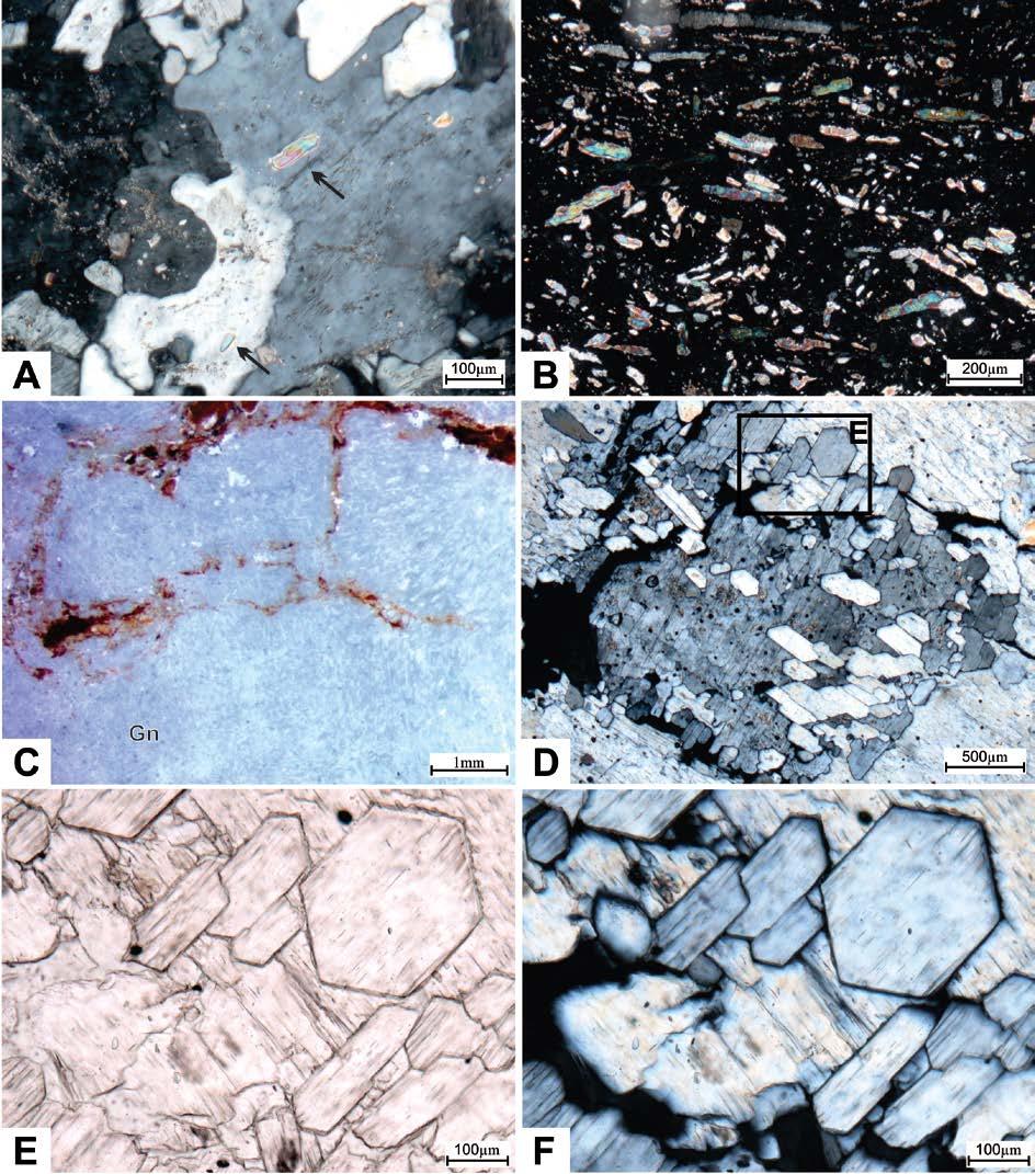 81 boundaries, similar to the mortar texture (Figures 5.9D, 5.9E and 5.9F). In the same way, microcrystals in the center of nodules form a poikilotopic texture. Figure 5.