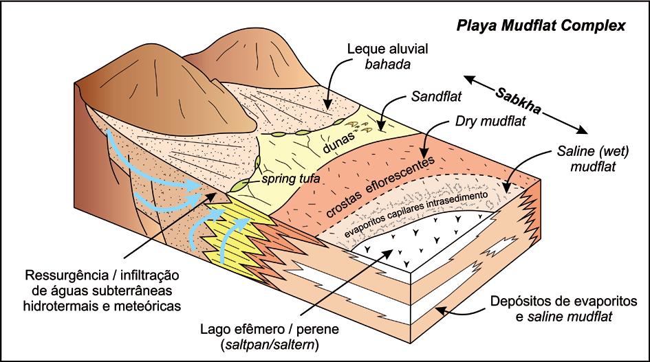 21 3.3 FUNDAMENTAÇÃO TEÓRICA: PLAYAS, SABKHAS E SALINE PANS 3.3.1 Revisão de conceitos O termo Playa é utilizado como equivalente geológico do sabkha continental (Briere, 2000; Shaw e Bryant, 2011),