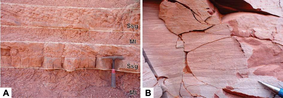 74 Figure 5.3 - Shallow lake facies. (A) Laminated mudstone (Ml) interbedded with sigmoidal sandstones (Ssg). (B) Sandstone/siltstone with subcritically climbing ripple cross lamination. 5.3.1.