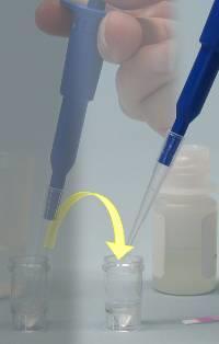 Misturar bem, utilizando a ponteira da pipeta até a mistura ficar uniforme (amarelo claro). NOTAS: Amostras não misturadas adequadamente ou não pipetadas com precisão terão seu resultado prejudicado.