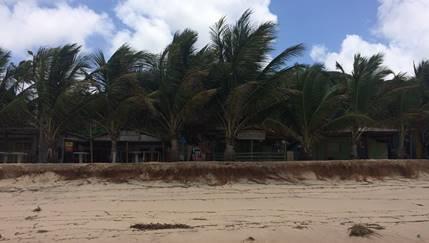 Os mais antigos formam uma espécie de terraço de abrasão, próximos a linha de praia.