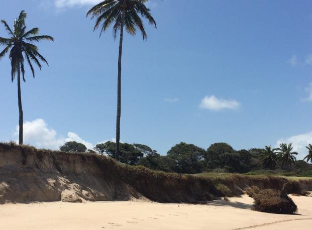 praias, sem o desenvolvimento de falésias (Praias urbanizadas ou não) Figura 10.