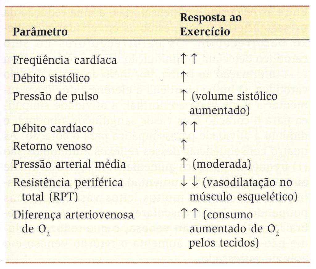 Funções integrativas do sistema