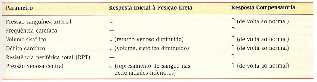 Funções integrativas do sistema