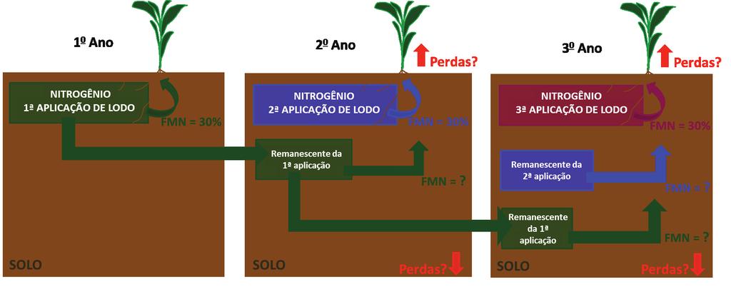 Recomendação de dose de lodo de esgoto: a questão do nitrogênio 5 Figura 1.