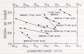 k? w = K (.7)? Em que, γ w e η são, respectivamente, o peso especifico e a viscosidade do fluido percolante, e K é a permeabilidade absoluta do meio poroso. (LAMBE E WHITMAN, 1969).