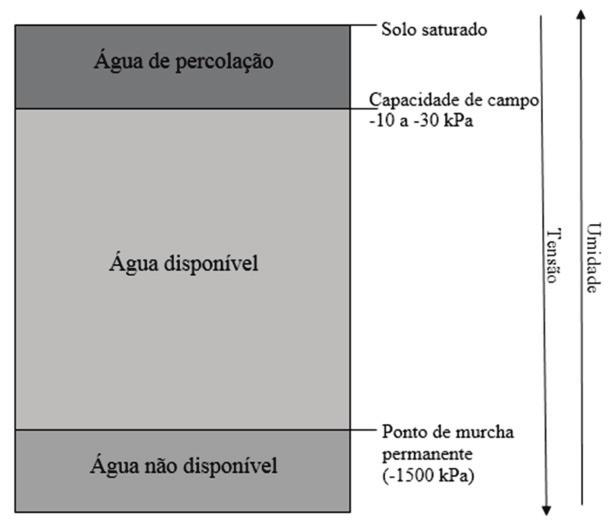 No geral podemos considerar os seguintes valores de capacidade de campo e disponibilidade de água no solo para as diferentes texturas (Tabela 2).