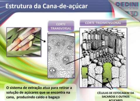 2. EXTRAÇÃO DO CALDO Processo físico de separação: caldo - bagaço Realizada por moagem ou difusão Moagem: pressão mecânica dos rolos da moenda sobre o colchão de cana desfibrada Difusão: operação de