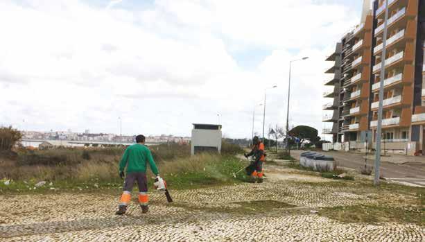 SEIXAL 08 ESPAÇOS VERDES E DESMATAÇÕES NOVOS EQUIPAMENTOS PARA HIGIENE