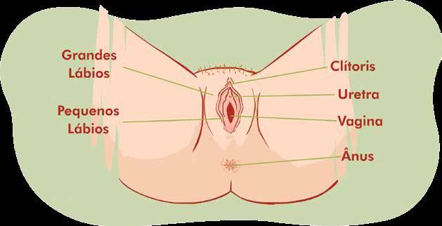 Saiba mais! A gravidez ectópica é quando ocorre a nidação, ou seja, a fixação do ovo fora da cavidade uterina. O local em que mais ocorre isso é nas tubas uterinas.