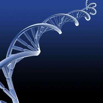 Psicologia ADN, Genes e Cromossomas Prematuridade e Neotonia Escola Secundária do Monte de