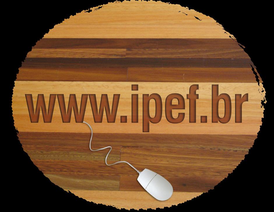 O site do IPEF A proposta, porém, tornou-se muito mais abrangente, diversificando-se à medida que aumentava a demanda por informações.