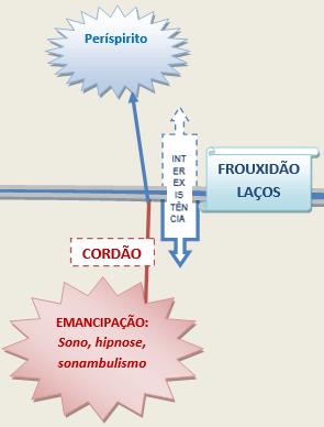 Emancipação da alma FENÔMENOS MEDIÚNICOS DE PSICODISSOCIAÇÃO: Sonambulismo Êxtase Desdobramento NOS FENÔMENOS SONAMBÚLICOS, A ALMA SE EMANCIPA, PODENDO: Ver a