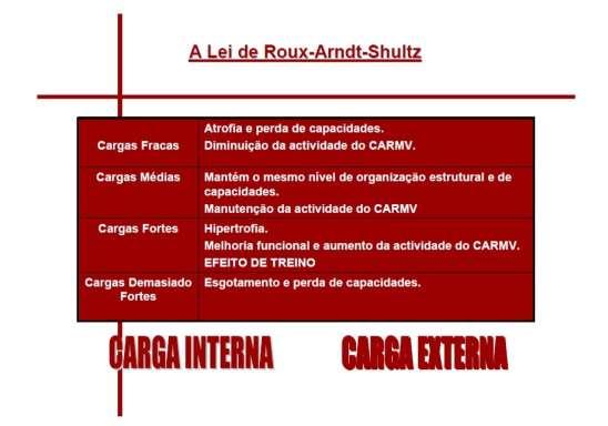 Cargas fortes hipertrofia. Melhoria estrutural e funcional do organismo e aumento da atividade do CARMV. Cargas demasiado fortes esgotamento e perda de capacidades. Exaustão. 6.