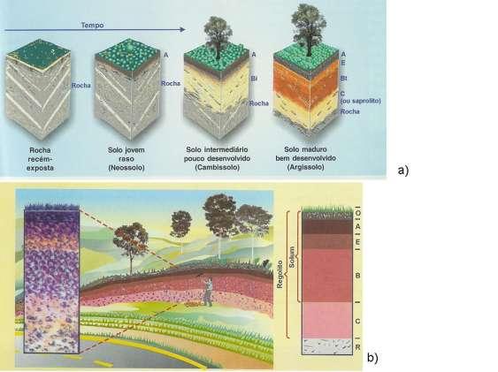 9 Figura 2.4 formação do solo na paisagem e representação de horizontes. (LEPSCH, 2005 ). Figura 2.5 Formação do dos vales na paisagem. 2.2 Formas de visão do solo Existem diferentes formas de observar as questões relativas a solos.