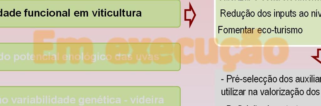 Projectos Âncora Investigação e Desenvolvimento Experimental - I&DE Objectivos Principais actividades Impacto das alterações climáticas no Douro Zonagem e cartografia - potenciais vitícolas