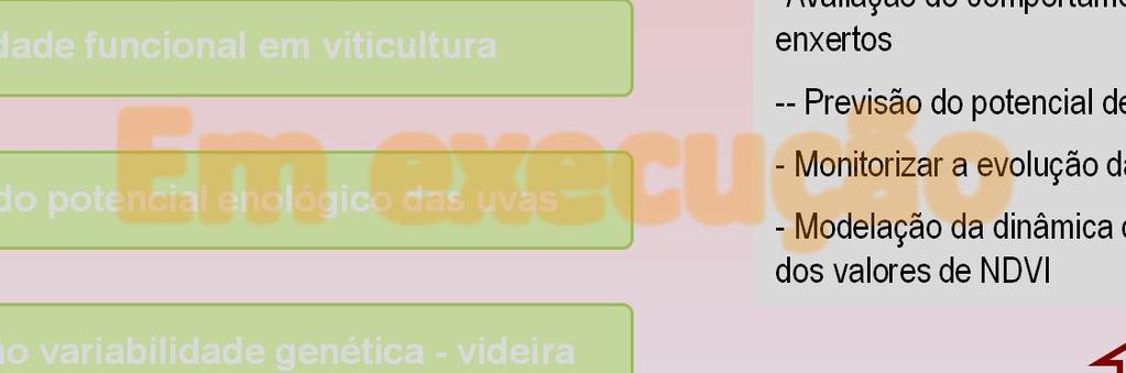 Projectos Âncora Investigação e Desenvolvimento Experimental - I&DE Objectivos Principais actividades Impacto das alterações climáticas no Douro Zonagem e cartografia - potenciais vitícolas