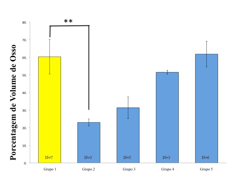 Resultados 44 Figura 17- Gráfico ilustrando a porcentagem de volume ósseo na falha óssea alveolar dos animais dos