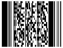 . PDF417 (PORTABLE DATA FILE 417): é uma simbologia de código de barras 2D capaz de codificar mais de um kilobyte de dados por etiquetas.