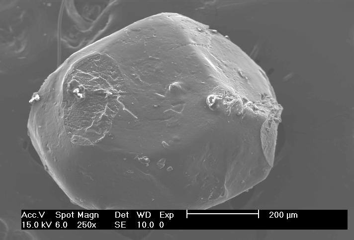 Micrografias das esferas: