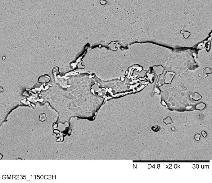 Micrografia da