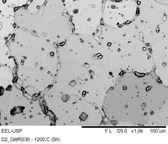 55 A B Figura 31: a) Micrografia da amostra tratada termicamente próxima a fusão incipiente a 1200 C por 5 horas; b) Micrografia da amostra tratada termicamente acima da fusão incipiente 1300 C por 5