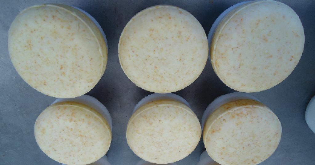 Embalagem e Maturação Passado o período de prensagem, os queijos são retirados das formas e acondicionados em câmara fria com temperatura entre 8-10 C, podendo ser consumidos frescos (Figura 10), ou