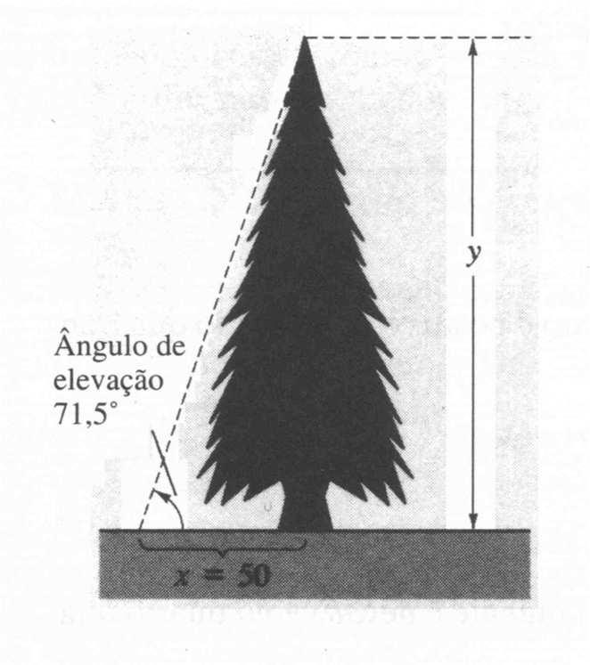 3. Cálculo de funções trigonométricas Exemplo 4: Um agrimensor de pé, está a 50 pés de distância da base de uma grande árvore.