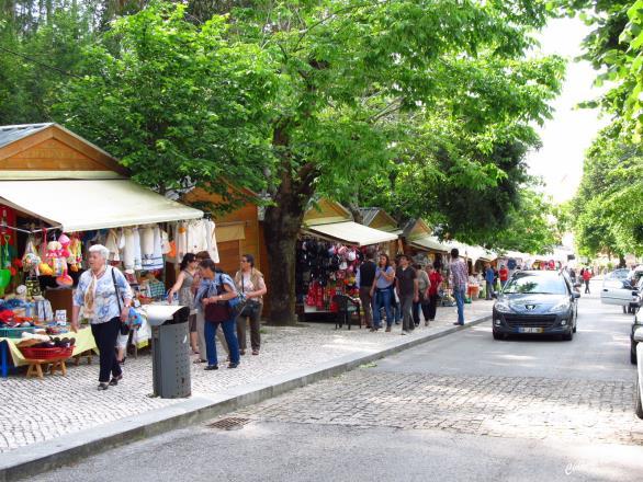 Fornelos Junta de no Freguesia Top da Educação de Lusopara a sustentabilidade Medidas de poupança de água A Freguesia de Fornelos(Fafe), destacou-se pelas Colocação ações desenvolvidas rega