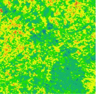 verificar ainda áreas com albedo próximo ao encontrado para agricultura e áreas com