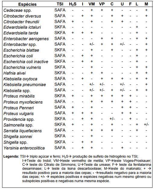 Tabela 1. Identificação das bactérias da família Enterobacteriaceae isoladas das amostras de carne de frango in natura coletadas no período de agosto e setembro de 2017, em Patos PB.