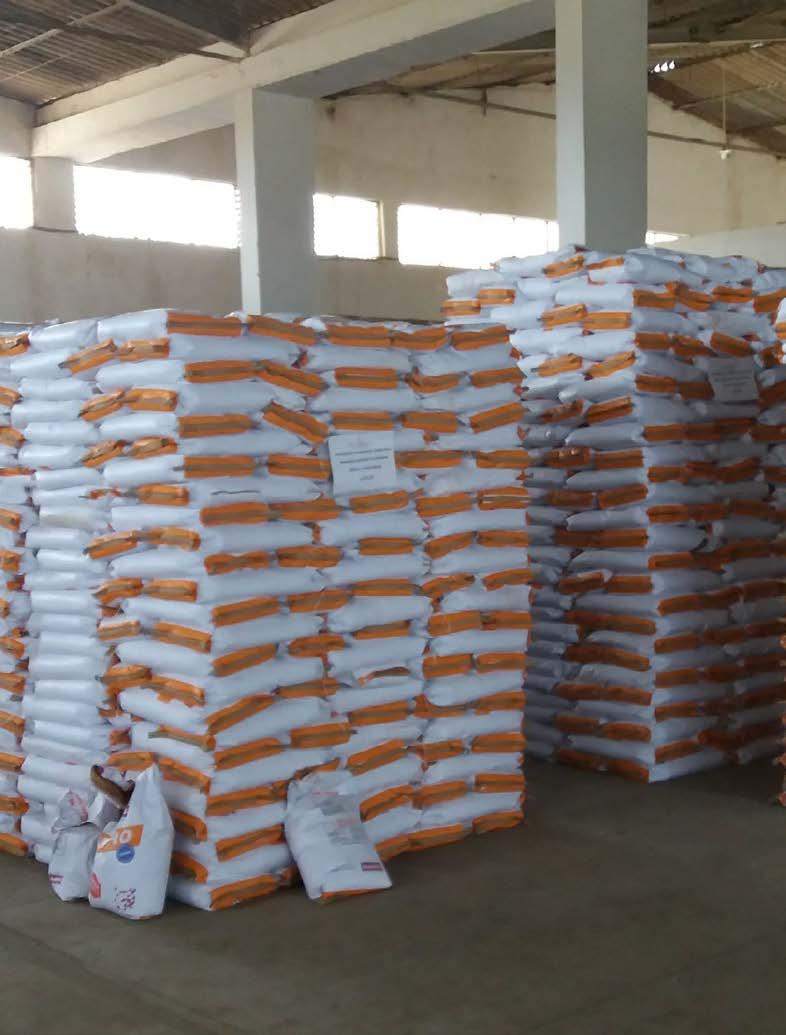 Maceió, terça-feira, 3 AGRICULTURA Seagri faz lançamento do Programa de Distribuição de Sementes no Sertão No município de Santana do Ipanema serão destinados 4,2 mil quilos de sementes de feijão,