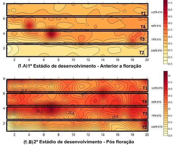Através da avaliação da temperatura foliar elaborou-se a distribuição espacial destas, observando os pontos com maiores e menores temperaturas antes e após o florescimento.