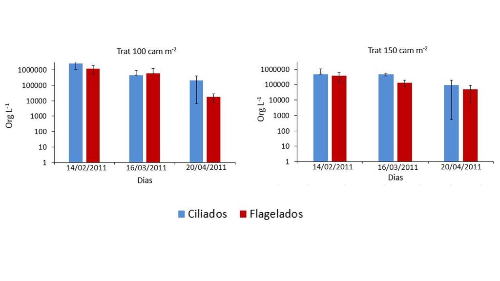 Na figura 6, estão demonstradas a concentração dos microrganismos (ciliados e flagelados) em ambos os tratamentos.