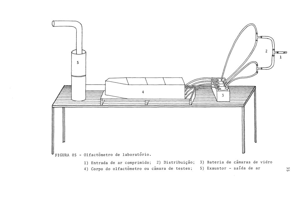 FIGURA 05 - Olfactômetro de laboratorio.